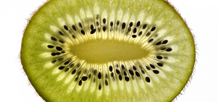 Ne nadarmo se dětem k obědu dává ve škole půlka kiwi