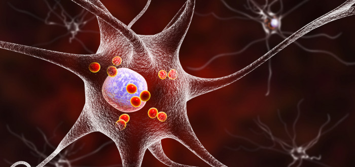 Za parkinsona může zásadní ztráta nervových buněk produkujících v mozku neurotransmiter dopamin