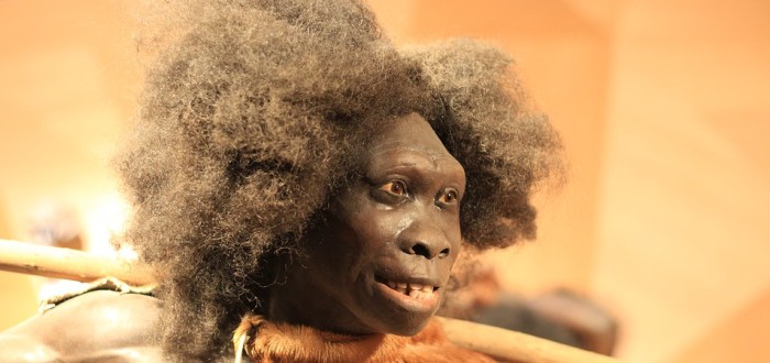 Vědci se přou o vyspělosti kultury neandertálců, podle všeho to ale žádní primitivové nebyli