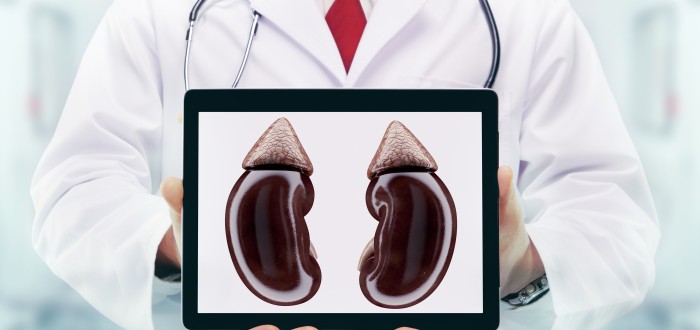 S očistou ledvin vám nejvíce pomůže dostatečný pitný režim