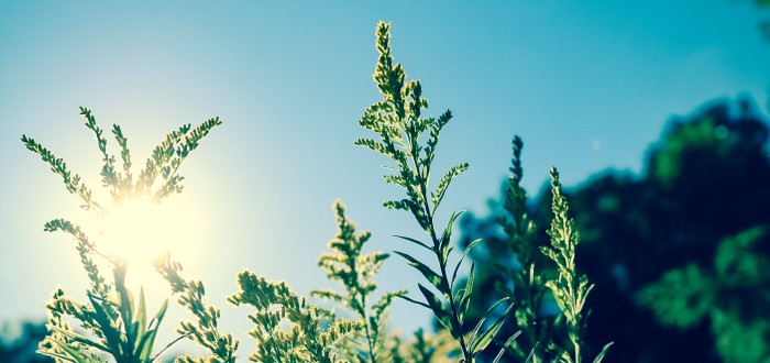 Teploty se v příštích dnech vyšplhají až ke 25 °C