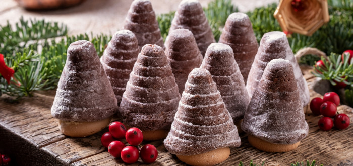 Dnes již má téměř každá hospodyňka svůj recept na vosí hnízda