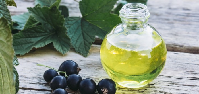Olej z černého rybízu vám může pomoci zbavit se mimo jiné i bolesti kloubů