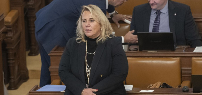 Dostálová i europoslanci ANO budou v Evropském parlamentu v izolaci