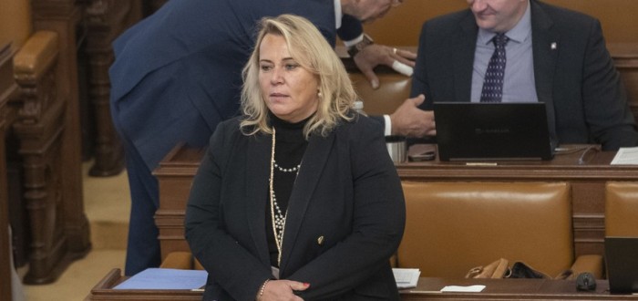 Dostálová i europoslanci ANO budou v Evropském parlamentu v izolaci