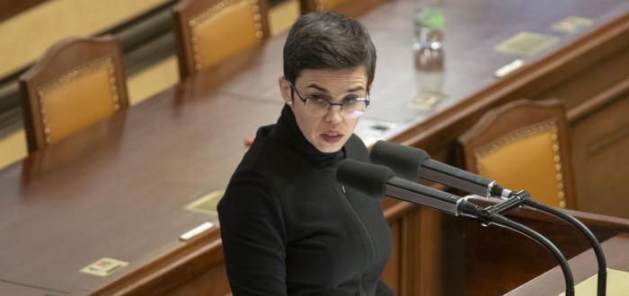V roce 2012 založila Olga Richterová občanské sdružení Zaostřeno na desítku. V roce 2014 vstoupila do České pirátské strany