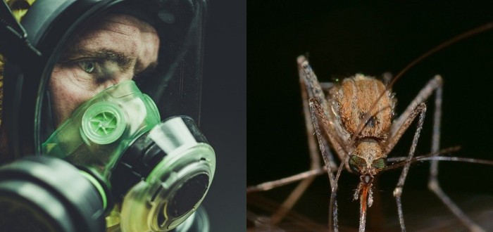 V boji proti koronaviru může pomoci látka obsažená v repelentu