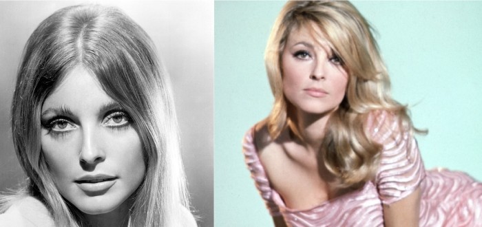 Sharon Tate. 