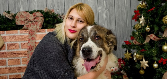 Vánoce o samotě může zpříjemnit i zvířecí přítel - a nebo je můžeme ignorovat... 