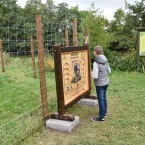 S přírodou se můžete potkat i ve městech. Nevěříte? Tak navštivte městské lesoparky