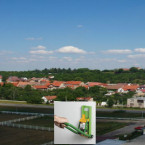 Jaký nápad nakonec dostane pomyslného černého petra?