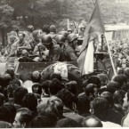 Květiny pošlapat můžete, jaro tím nezastavíte