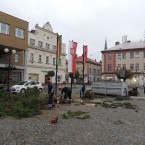 Náměstí Přemyslovců přichází o zeleň, budoucí vizualizace ale bude stát za to. Pokračujte ve fotogalerii