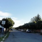 Proč se vlastně bude Třídvorská ulice rekonstruovat až příští rok? Odpovědi najdete v naší fotogalerii