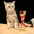 Absolutní vítězkou pro rok 2015 se stala kočka Belinda