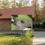 Jak se jim daří?