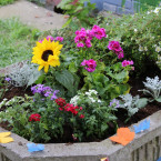 Výsledek akce Guerilla Gardening v Benešově