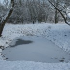 Libušino jezírko je už někdy téměř bez vody