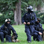 V pohotovosti budou pořádkové jednotky i kynologové a jízdní policie