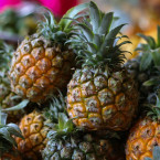 Máte rádi exotické ovoce a rádi experimentujete? Tak si vypěstujte vlastní citrusové plody nebo ananas 