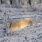 První sníh se může objevit i v nižších polohách