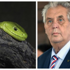 Další souhn týdne a znovu pan prezident v hlavní roli
