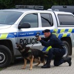 Zátah policie v regionu odhalil nelegálně zaměstnané cizince. Jeden měl dokonce falešný občanský průkaz Rumunska. Policité si v podobných případech berou na pomoc služebního psa