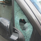 Policie dopadla muže, který vykradl 30 aut. 