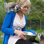 Hosty při józe prý přítomnost lemurů těší