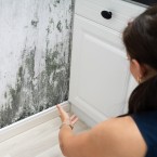 Plíseň nejen hyzdí náš domov, ale může nám způsobit i vážné zdravotní problémy