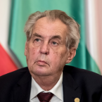 Lidé kolem Miloše Zemana chtějí vysát jeho popularitu až do úplného dna
