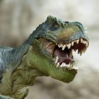 Kostra tyranosaura byla vydražena za rekordní částku