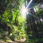 Teploty v následujících dnech se vyšplhají až na neuvěřitelných 28 °C