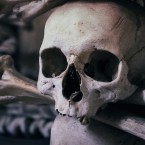 V kutnohorské kostnici je zákaz fotografování. Lidé neměli úctu k mrtvým