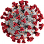 Šíření nakažlivé nemoci je trestný čin – ať už jde o virus HIV, žloutenku, či covid