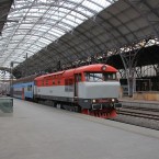 Německá studie vede k zajímavému zjištění