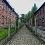 Osvětim se Hirschovi stala osudným. Příslušníci SS se báli, že by mohl vést odboj. O pár hodin později ho našli v bezvědomí a ještě ten večer tělo spálili