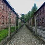 Osvětim se Hirschovi stala osudným. Příslušníci SS se báli, že by mohl vést odboj. O pár hodin později ho našli v bezvědomí a ještě ten večer tělo spálili