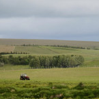 Brzy čeká české farmáře vyhynutí po meči. Zdali tomu bude i po přeslici, to ještě není známo. Jasné je, že dovoz levnějších mimoevropských produktů graduje