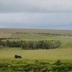 Brzy čeká české farmáře vyhynutí po meči. Zdali tomu bude i po přeslici, to ještě není známo. Jasné je, že dovoz levnějších mimoevropských produktů graduje