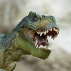 Výzkum dinosaurů přinesl nové poznatky. Pravděpodobně byli teplokrevní