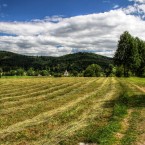 Užijte si nezapomenutelnou dovolenou nebo prodloužený víkend