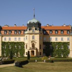Problematická zakázka se týká pozemku Lánské obory