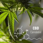 Při výběru silnějšího či slabšího CBD oleje nezapomeňte vzít v úvahu i plánované dávkování