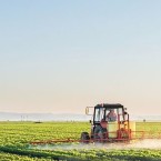 Podnikat v rámci živnosti volné lze třeba v zemědělském sektoru: jako poskytování služeb pro zemědělství, zahradnictví, rybníkářství, lesnictví a myslivost