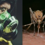 V boji proti koronaviru může pomoci látka obsažená v repelentu