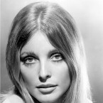 Sharon Tate. 