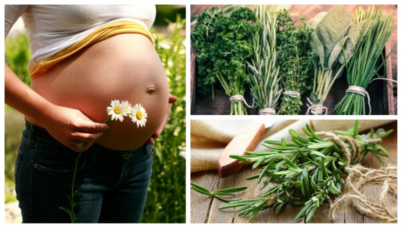 Ake bylinky v poslednom mesiaci tehotenstva